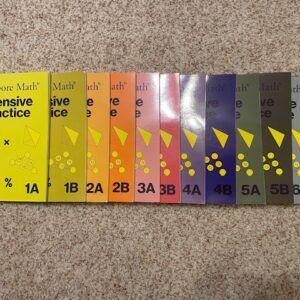 Singapore Math Intensive Practice Set (1A–6B, 12-Book Bundle)
