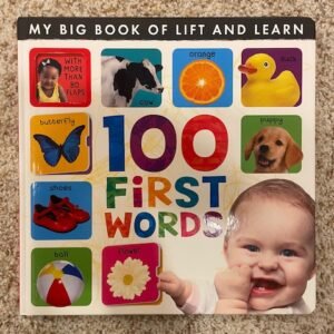 My Big Book of Lift and Learn: 100 First Words